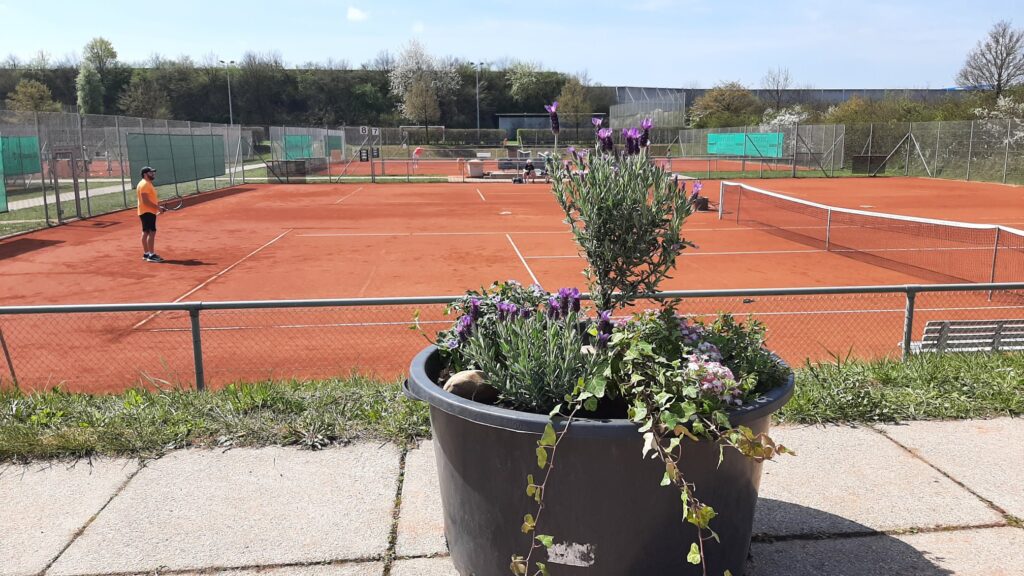 Sandplatzanlage des SV Heimstetten im Frühling